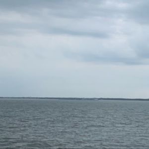 Meet your Posher, Frank